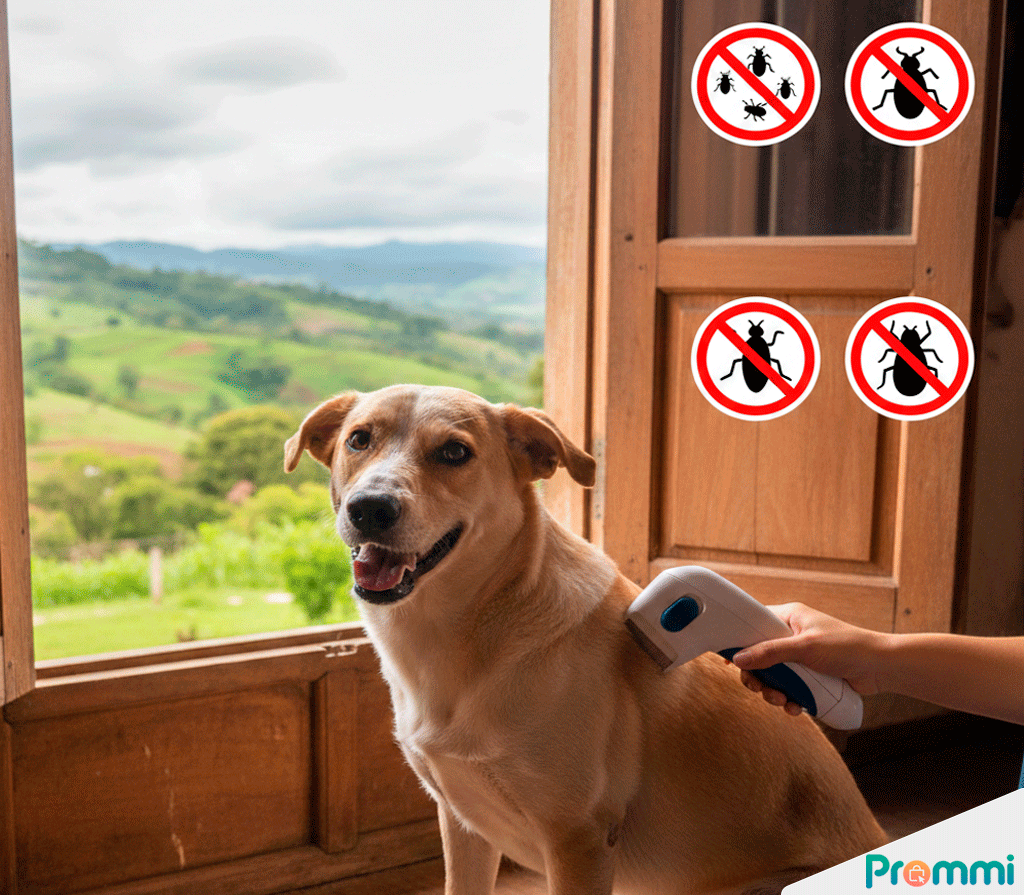 Cepillo Quita Pulgas y Pelo Muerto: Pelaje Radiante en Minutos